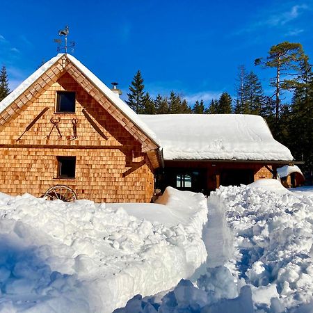 Chalet Wildalpen Exteriér fotografie