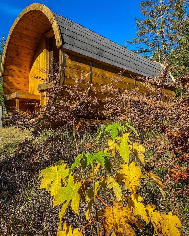 Chalet Wildalpen Exteriér fotografie