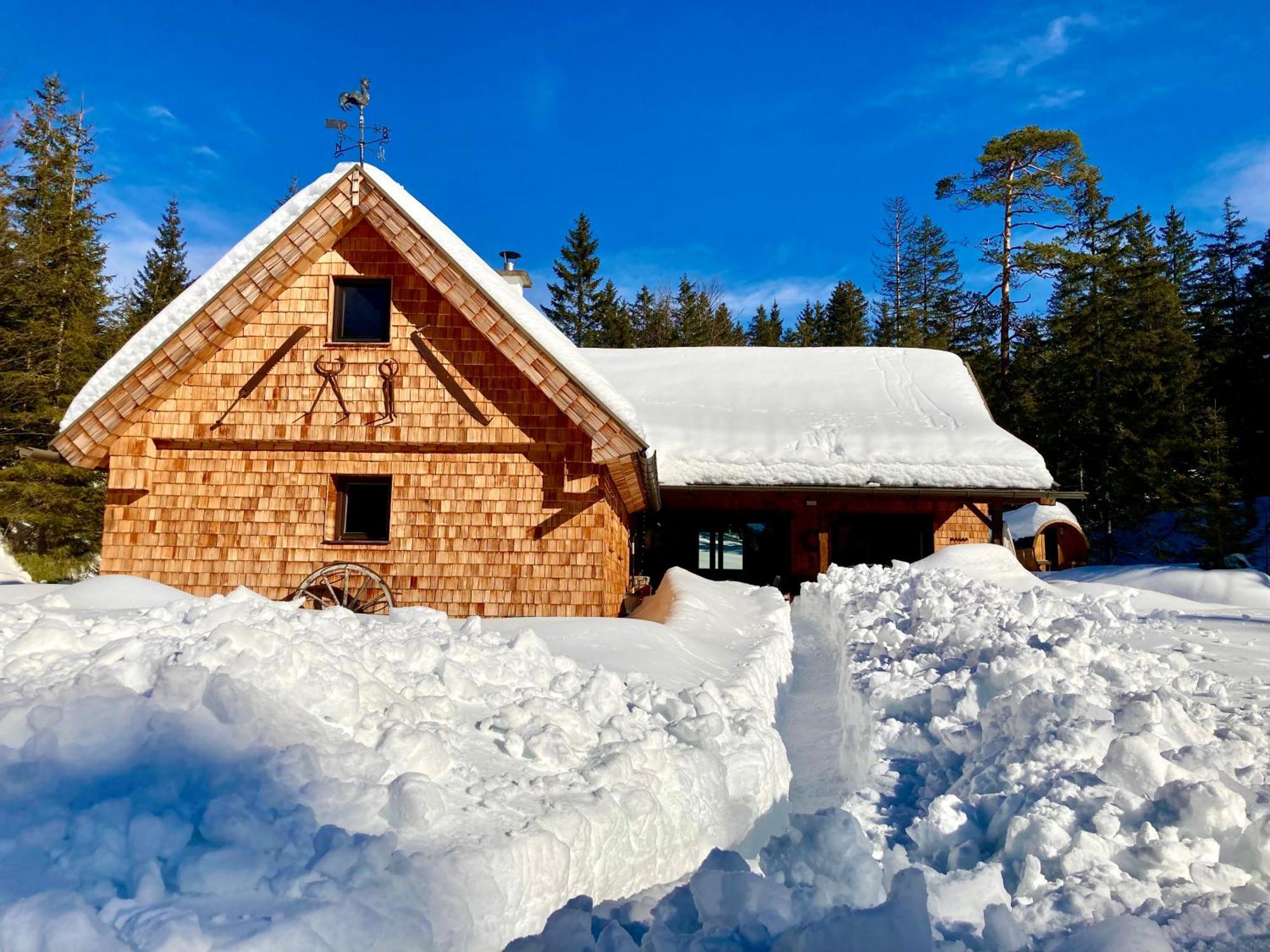 Chalet Wildalpen Exteriér fotografie