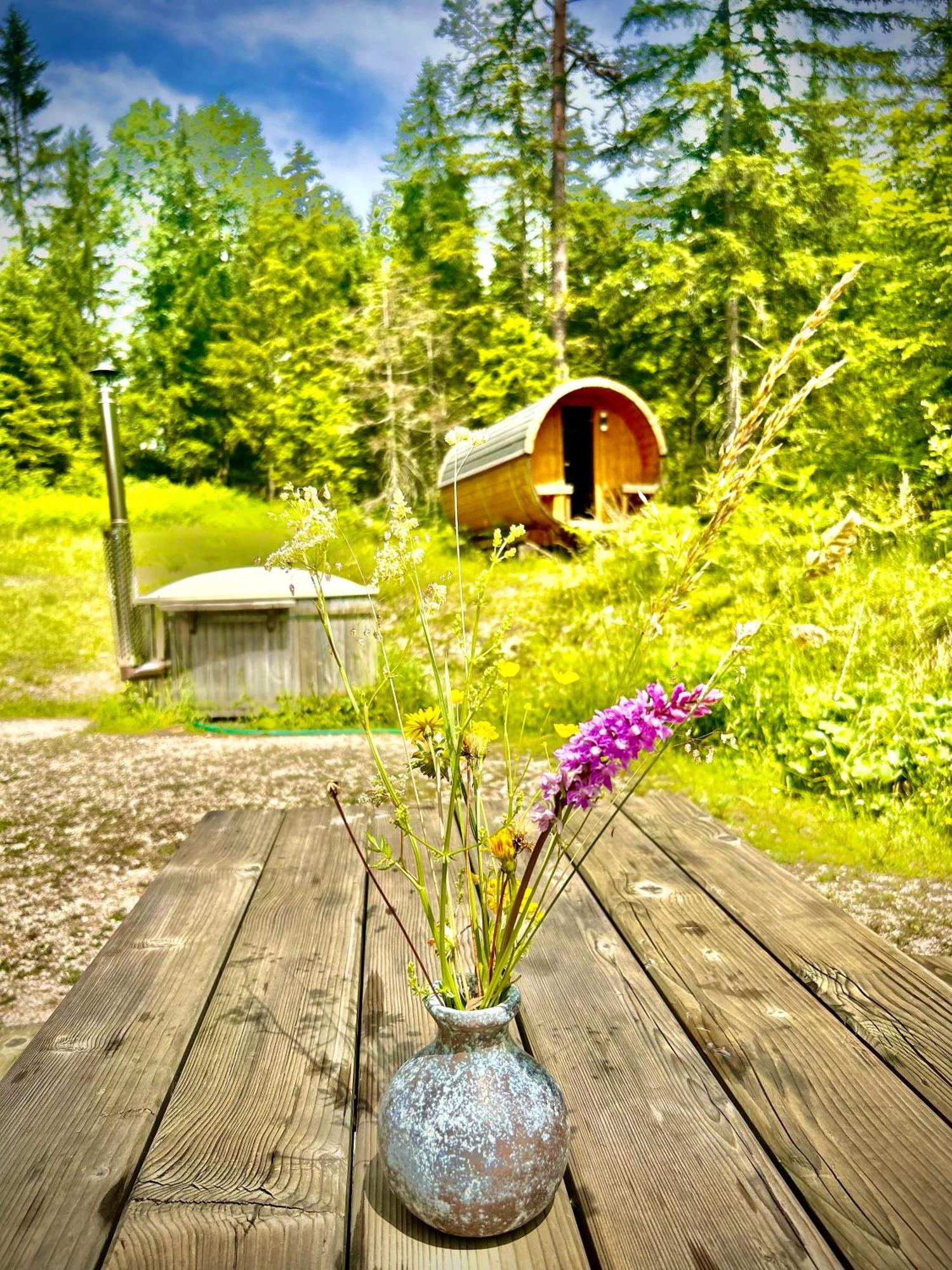 Chalet Wildalpen Exteriér fotografie